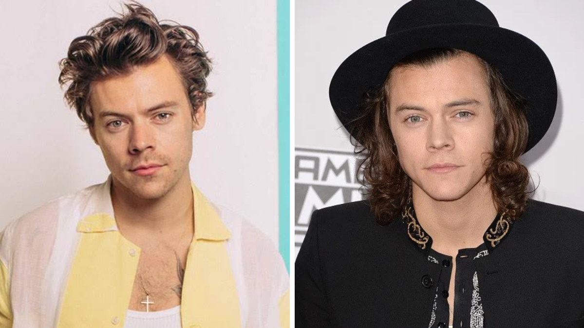 harry styles net worth